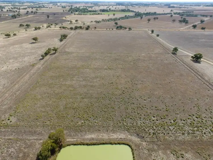 Sixth view of Homely rural property listing, 244 Moonee Swamp Road, Deniliquin NSW 2710