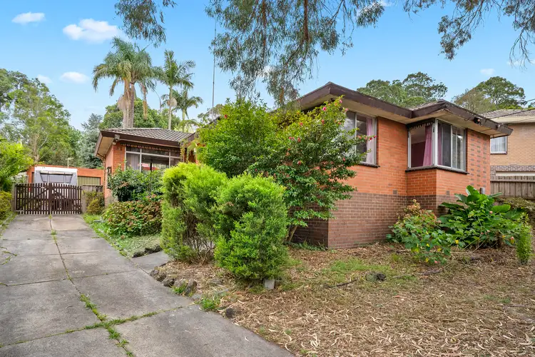 Main view of Homely house listing, 31 Margot Street, Ferntree Gully VIC 3156