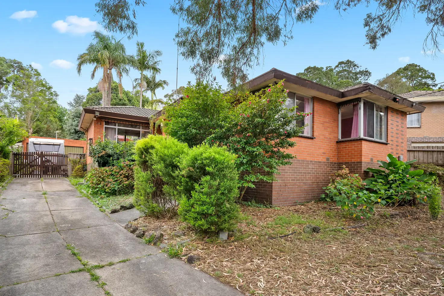 Main view of Homely house listing, 31 Margot Street, Ferntree Gully VIC 3156