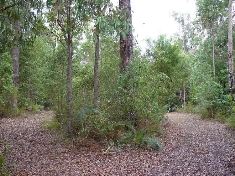 Main view of Homely land listing, Lot 7 Karri Lane, Quinninup WA 6258