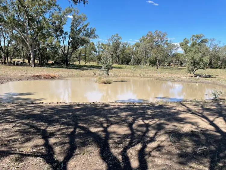 Fifth view of Homely land listing, 182 Whytes Road, St George QLD 4487