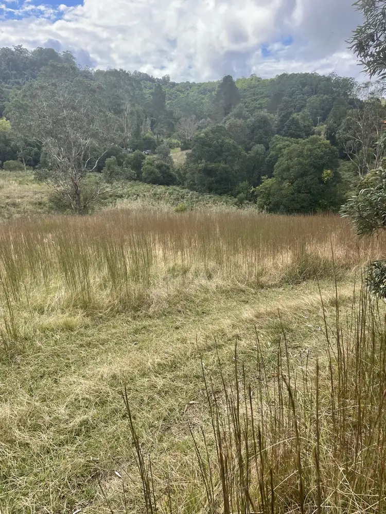 Fourth view of Homely land listing, 45 Tilbaroo Road, Elands NSW 2429