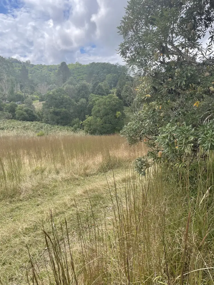 Fifth view of Homely land listing, 45 Tilbaroo Road, Elands NSW 2429