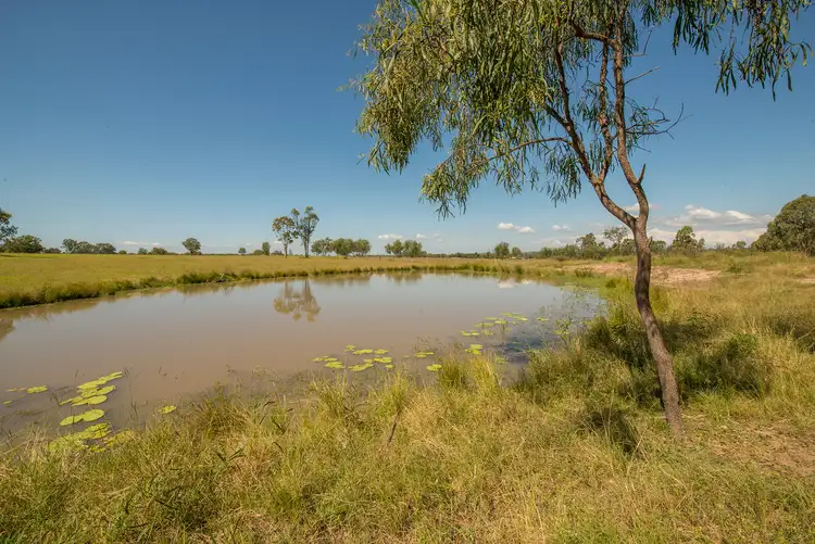 Third view of Homely house listing, 32 McCarthys Road, Thagoona QLD 4306