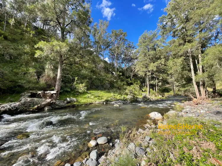 Fifth view of Homely rural property listing, 3855 Tomalla Road, Tomalla via, Gloucester NSW 2422