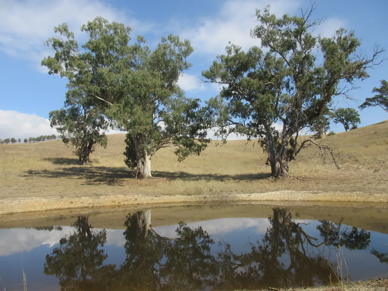 Main view of Homely rural property listing, 294 Mcleishs Road, Killingworth VIC 3717