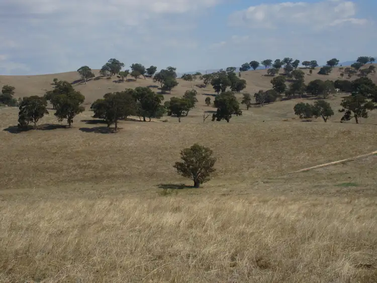 Second view of Homely rural property listing, 294 Mcleishs Road, Killingworth VIC 3717