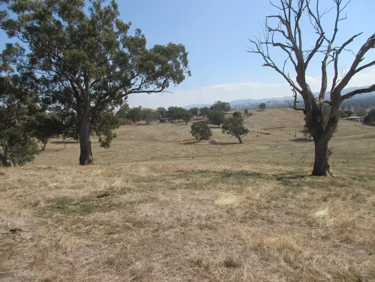 Fifth view of Homely rural property listing, 294 Mcleishs Road, Killingworth VIC 3717