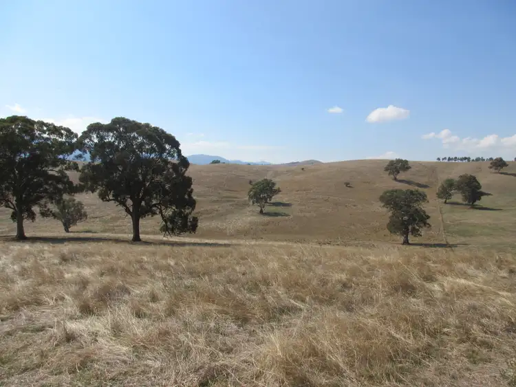 Seventh view of Homely rural property listing, 294 Mcleishs Road, Killingworth VIC 3717