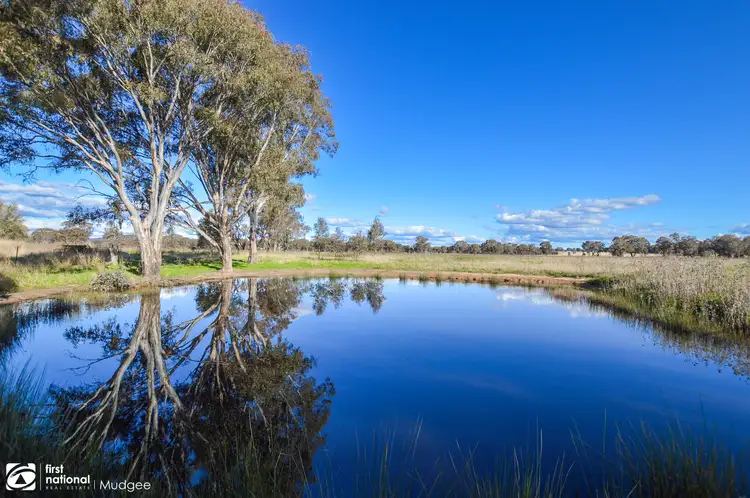 146 Kurtz Lane, Mudgee NSW 2850