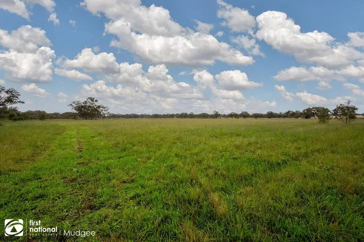 Fourth view of Homely rural property listing, 146 Kurtz Lane, Mudgee NSW 2850