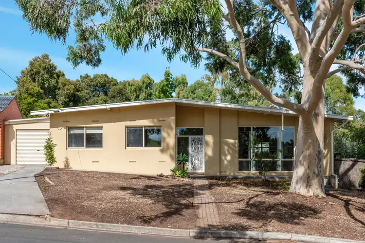 Main view of Homely house listing, 99 Eliza Place, Panorama SA 5041