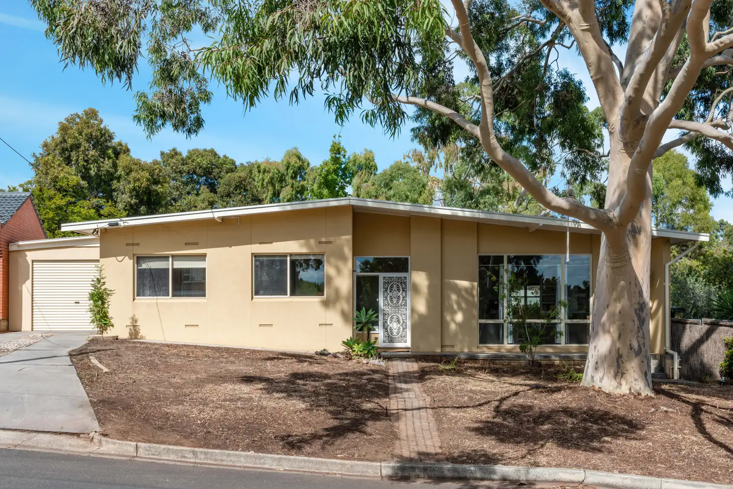 Main view of Homely house listing, 99 Eliza Place, Panorama SA 5041