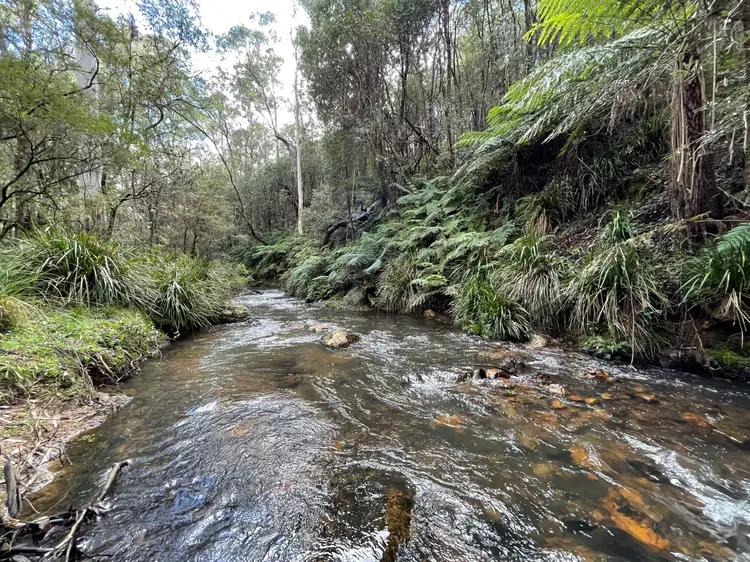 Lots 79,80 & 86 Blencowes of Nowendoc via, Gloucester NSW 2422