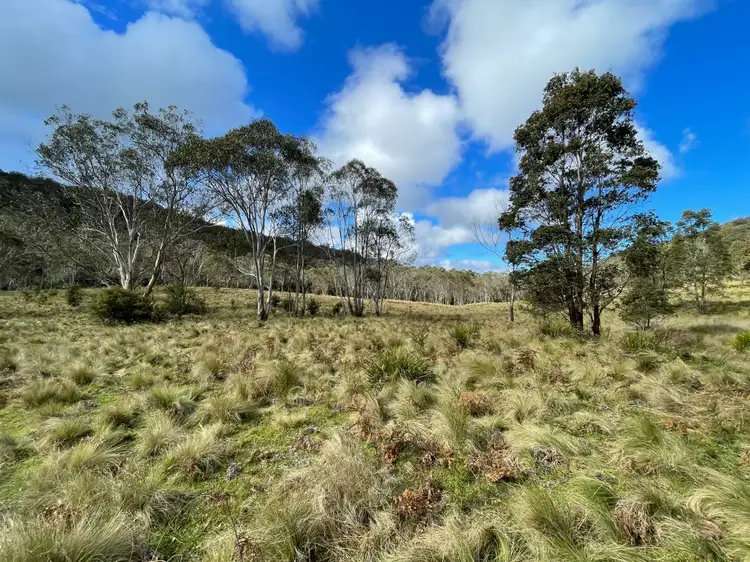 Second view of Homely rural property listing, Lots 79,80 & 86 Blencowes of Nowendoc via, Gloucester NSW 2422
