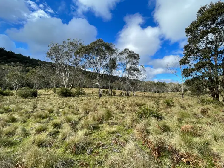 Fourth view of Homely rural property listing, Lots 79,80 & 86 Blencowes of Nowendoc via, Gloucester NSW 2422