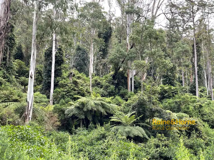 Fifth view of Homely rural property listing, Lots 79,80 & 86 Blencowes of Nowendoc via, Gloucester NSW 2422