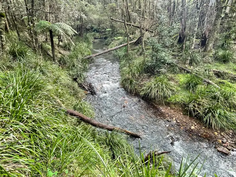 Sixth view of Homely rural property listing, Lots 79,80 & 86 Blencowes of Nowendoc via, Gloucester NSW 2422