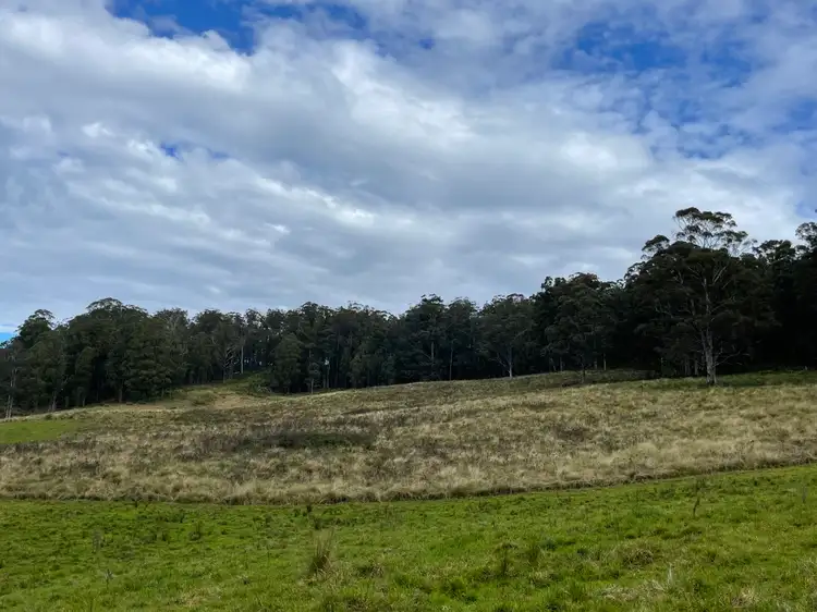 Seventh view of Homely rural property listing, Lots 79,80 & 86 Blencowes of Nowendoc via, Gloucester NSW 2422