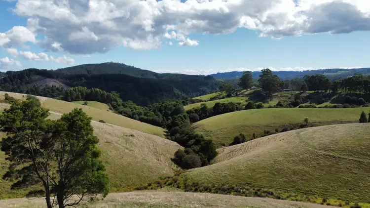 Fourth view of Homely land listing, 780 Foster-Mount Best Rd, Mount Best VIC 3960