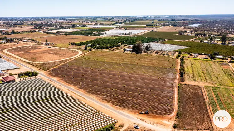 Main view of Homely rural property listing, 357 Stewart Road, Red Cliffs VIC 3496