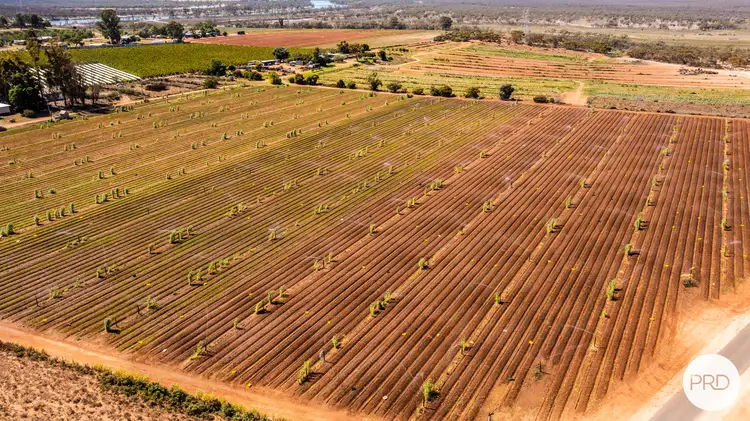 Second view of Homely rural property listing, 357 Stewart Road, Red Cliffs VIC 3496