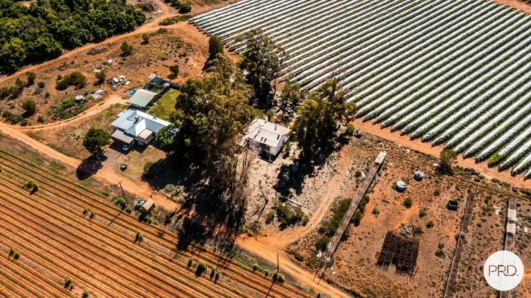 Fifth view of Homely rural property listing, 357 Stewart Road, Red Cliffs VIC 3496