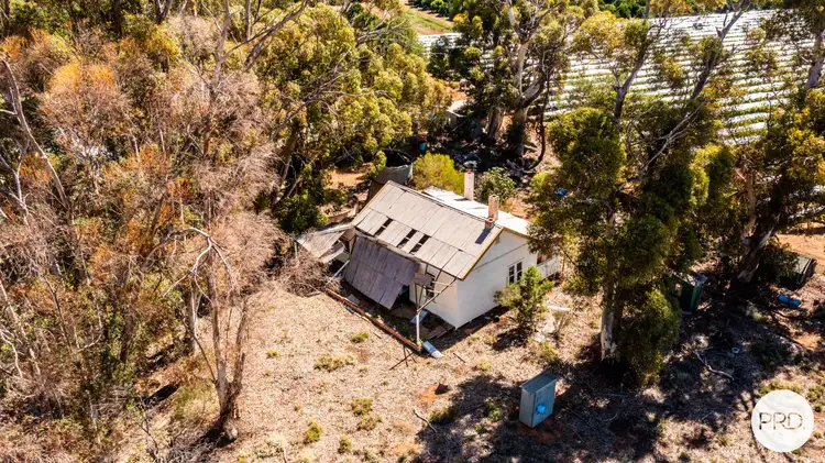 Sixth view of Homely rural property listing, 357 Stewart Road, Red Cliffs VIC 3496