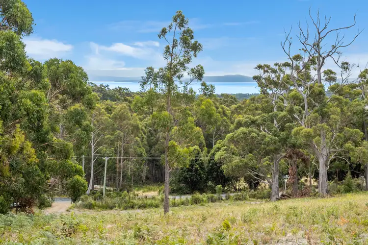 Third view of Homely land listing, 110 Adventure Bay Road, Adventure Bay TAS 7150