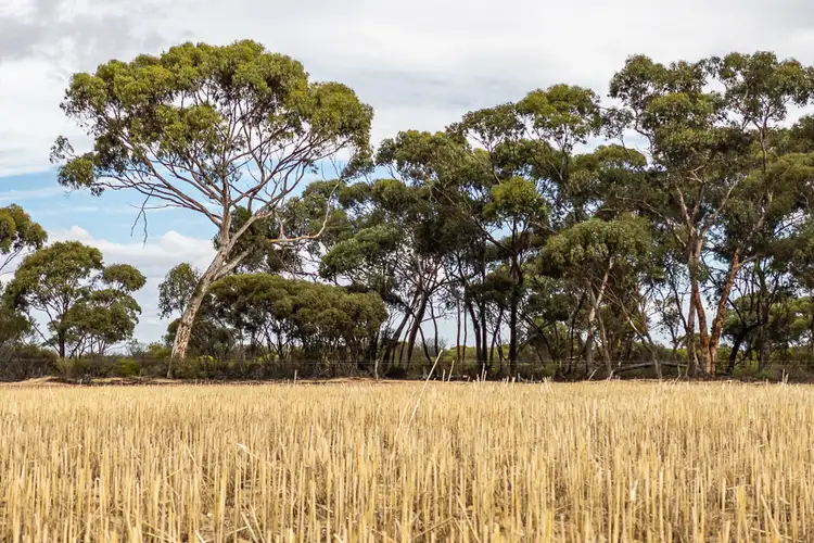 2809 Ninghan Location