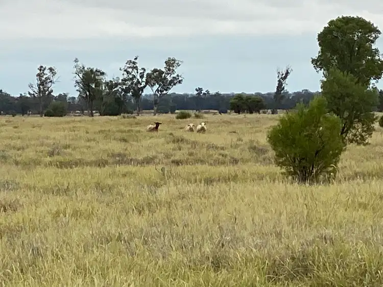 Fifth view of Homely rural property listing, L20 'Rockview', Weengallon QLD 4497