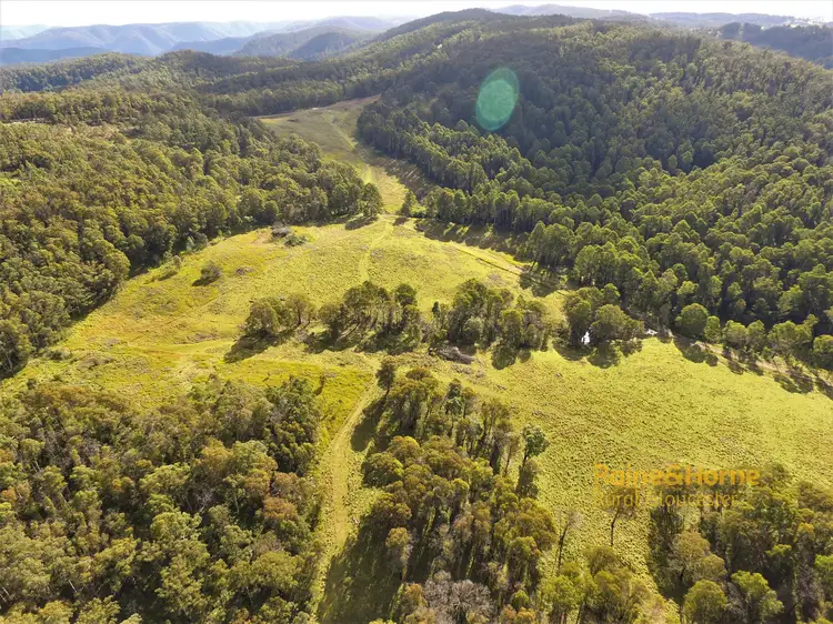 Fifth view of Homely rural property listing, 6990 Thunderbolts Way,Nowendoc via, Gloucester NSW 2422