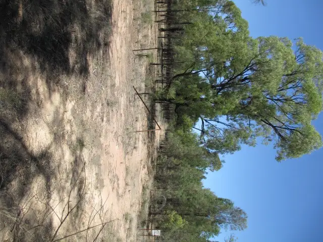Lot 17 ARNOLDS ROAD, Tara QLD 4421