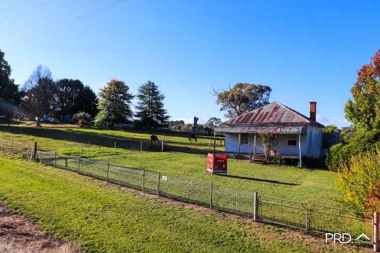 Main view of Homely house listing, 1660 Tumbarumba Rd, Tumbarumba NSW 2653