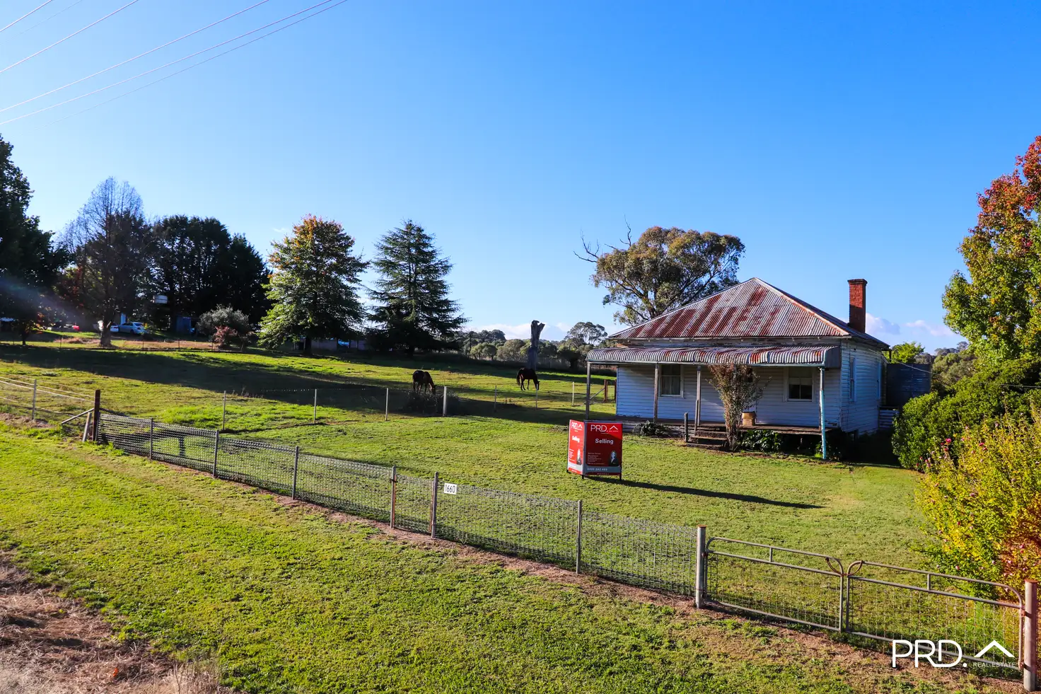 Main view of Homely house listing, 1660 Tumbarumba Rd, Tumbarumba NSW 2653