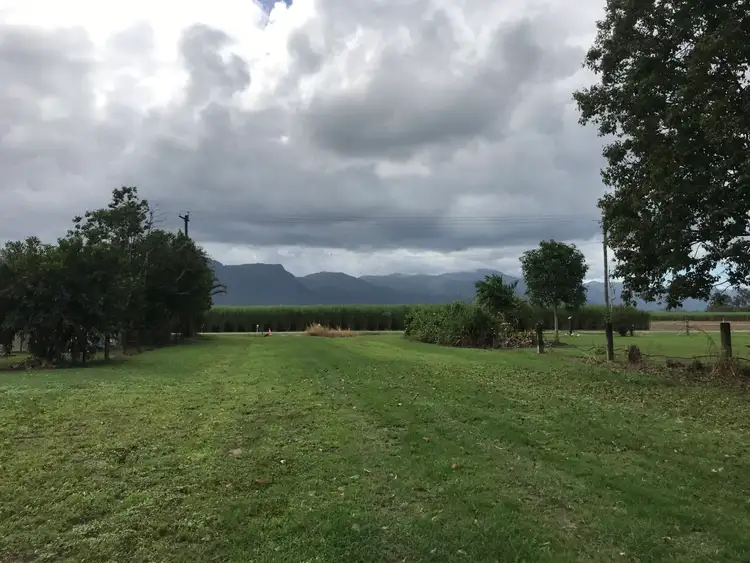 Third view of Homely land listing, 7 Cassowary Street, Abergowrie QLD 4850