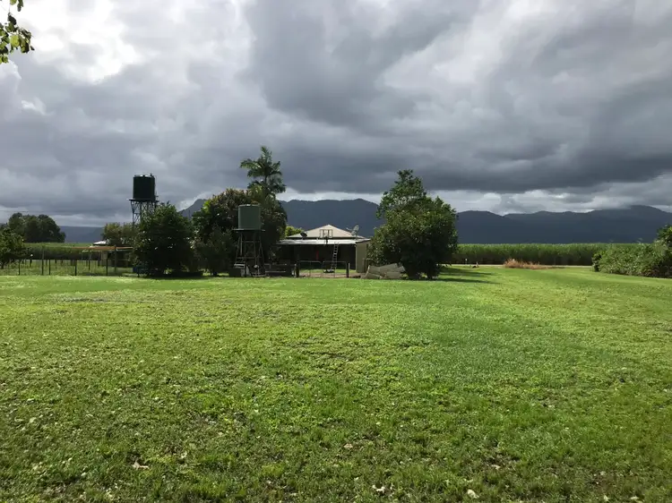 Seventh view of Homely land listing, 7 Cassowary Street, Abergowrie QLD 4850