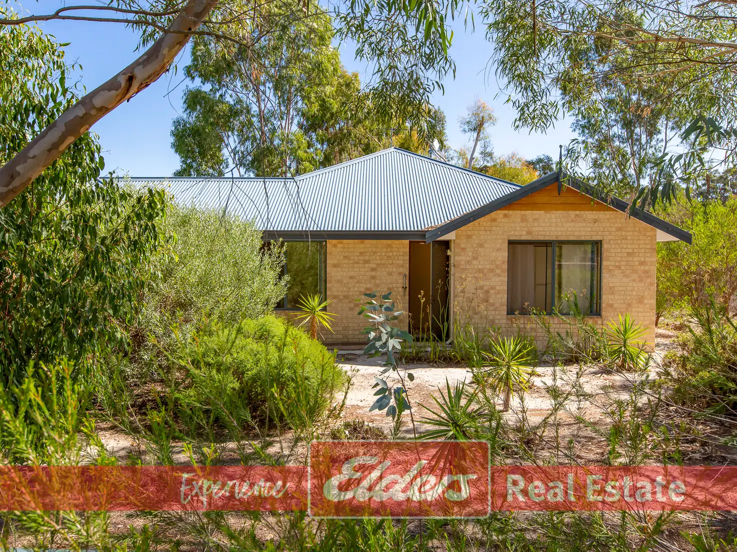 Main view of Homely house listing, 10 Salmon Gum Retreat, Donnybrook WA 6239