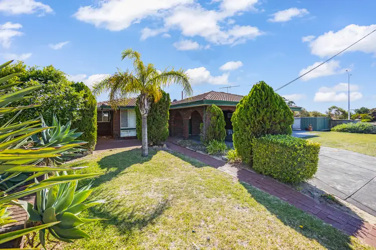 Main view of Homely house listing, 17A Cambria Street, Kallaroo WA 6025