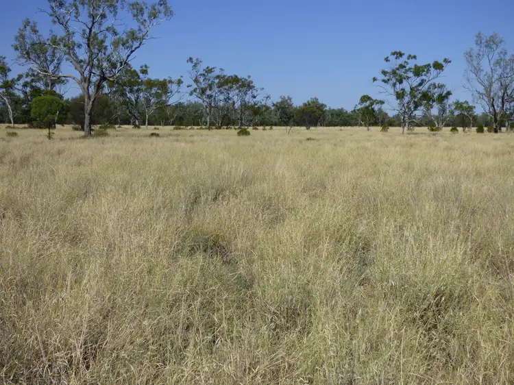 8216 Ward Road, Augathella QLD 4477