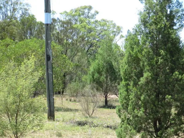 LOT 39 MALES DRIVE, Tara QLD 4421