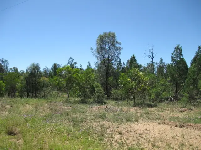 Third view of Homely rural property listing, LOT 39 MALES DRIVE, Tara QLD 4421