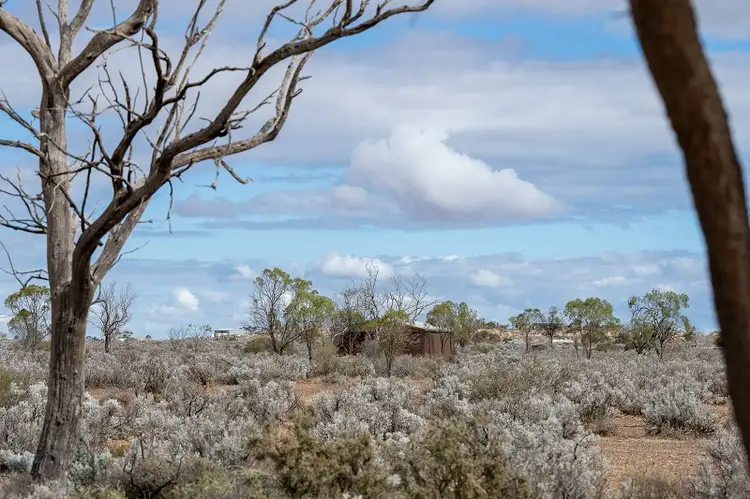 Second view of Homely land listing, 147 Slaughterhouse Road, Morgan SA 5320