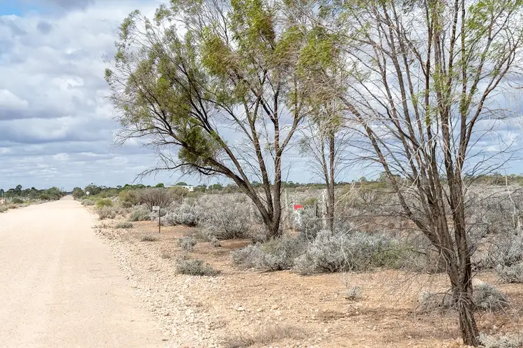 Fourth view of Homely land listing, 147 Slaughterhouse Road, Morgan SA 5320