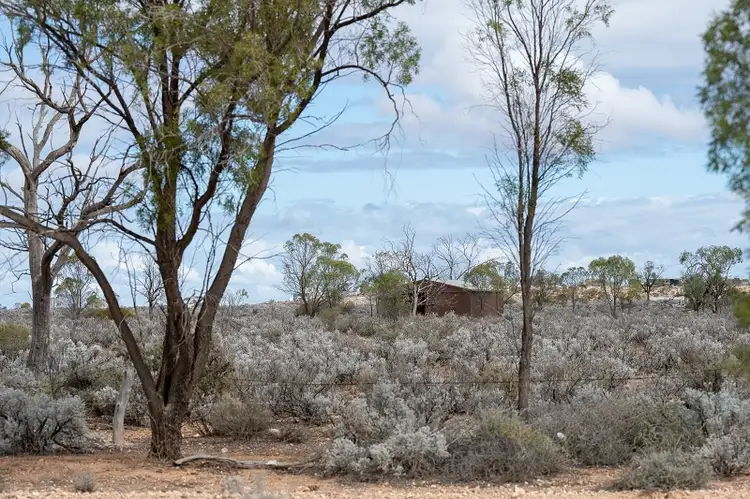Seventh view of Homely land listing, 147 Slaughterhouse Road, Morgan SA 5320