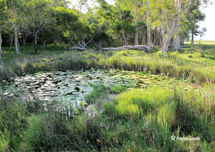 Seventh view of Homely house listing, 4 Reedy Creek Road, Patchs Beach NSW 2478