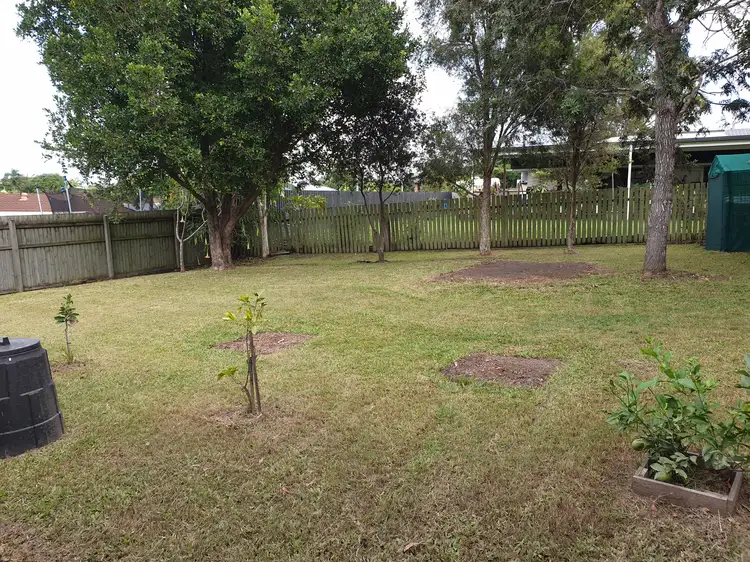 Third view of Homely house listing, 11 Caladium St, Strathpine QLD 4500
