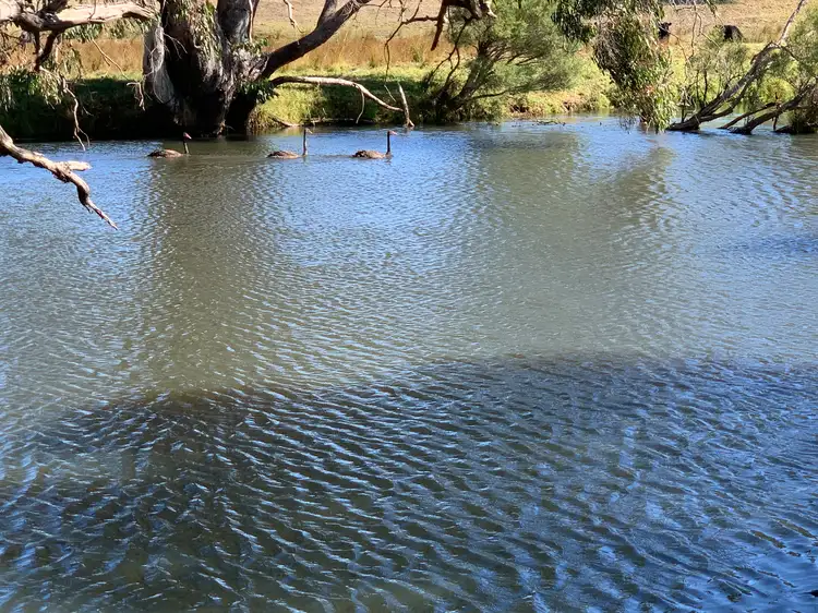 Main view of Homely rural property listing, Lot 303 Off Hansen Road, Stirling Estate WA 6271