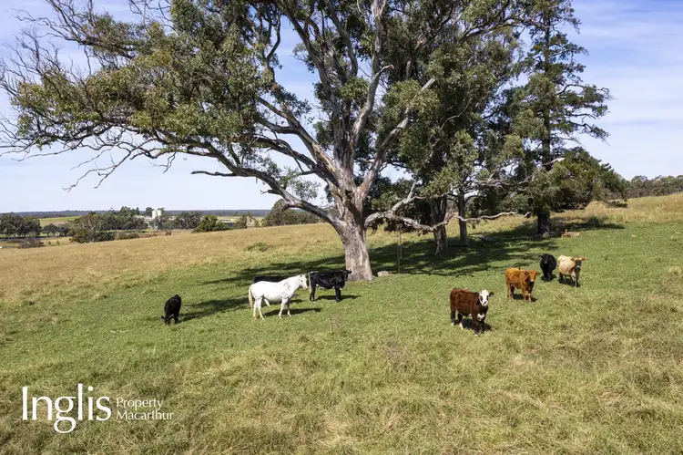 Fifth view of Homely rural property listing, 'Windsor Lodge'/725 Wilton Road, Appin NSW 2560