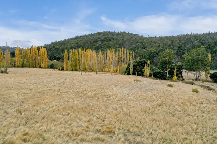 Main view of Homely land listing, Lot 1 Ellendale Road, Fentonbury TAS 7140